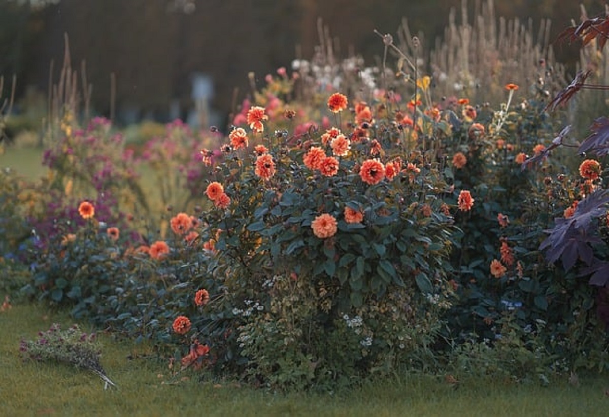 National Garden Day